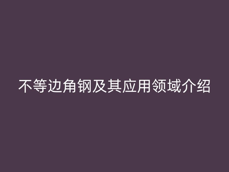 不等边角钢及其应用领域介绍