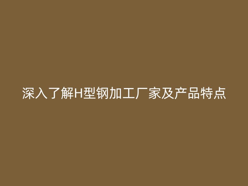深入了解H型钢加工厂家及产品特点