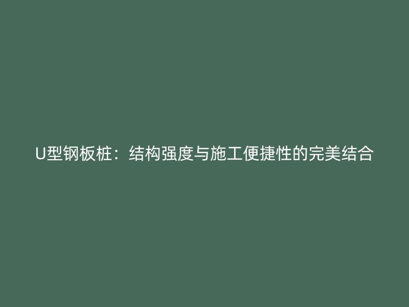 U型钢板桩：结构强度与施工便捷性的完美结合