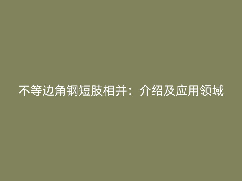不等边角钢短肢相并：介绍及应用领域