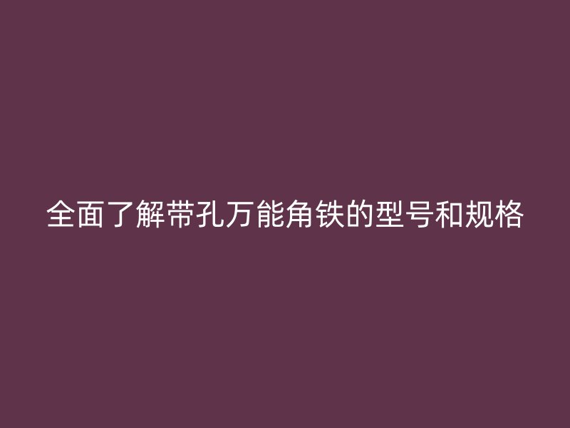 全面了解带孔万能角铁的型号和规格