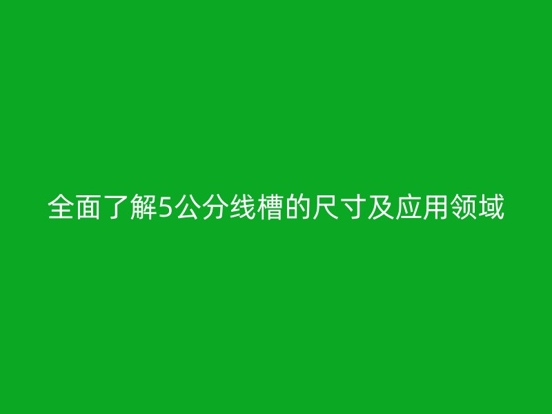 全面了解5公分线槽的尺寸及应用领域