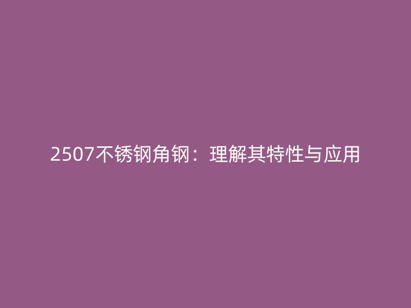 2507不锈钢角钢：理解其特性与应用