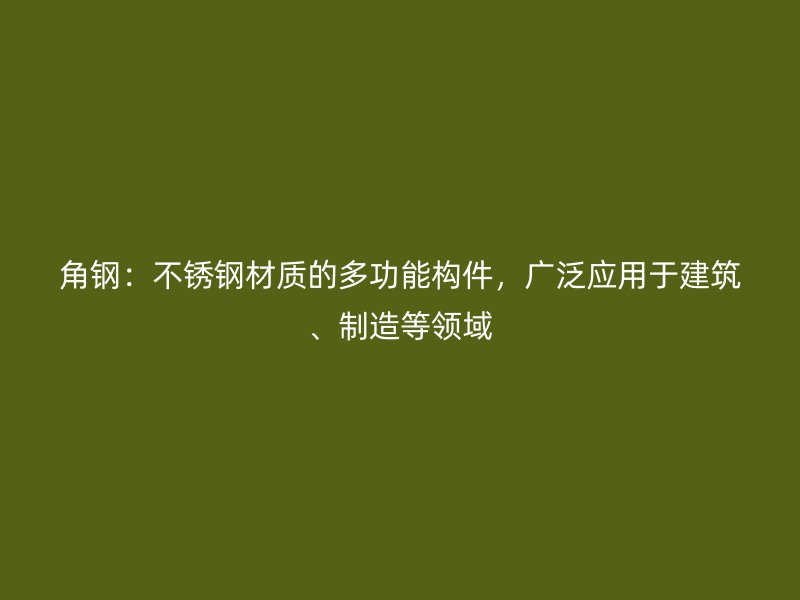 角钢：不锈钢材质的多功能构件，广泛应用于建筑、制造等领域