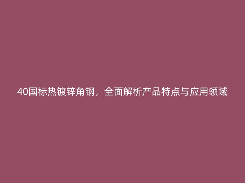 40国标热镀锌角钢，全面解析产品特点与应用领域