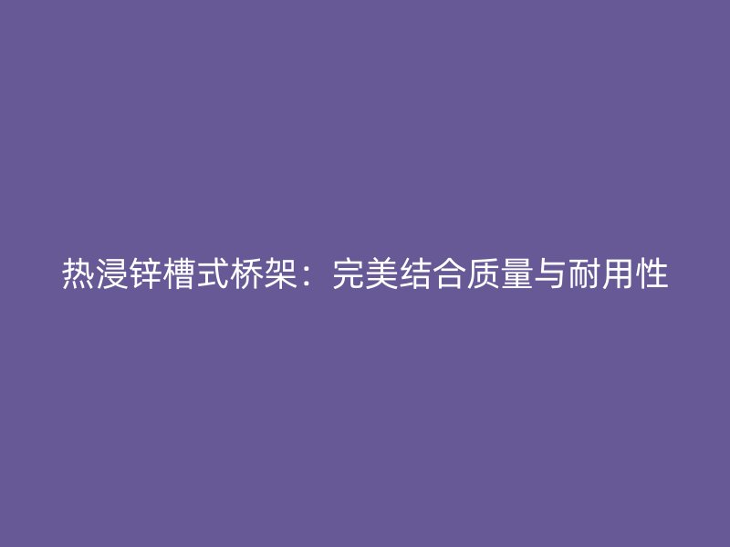 热浸锌槽式桥架：完美结合质量与耐用性