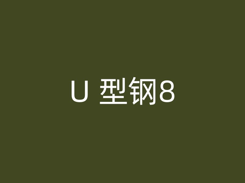 U 型钢8