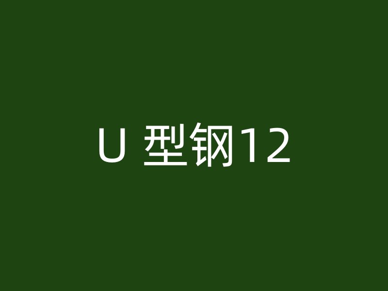 U 型钢12