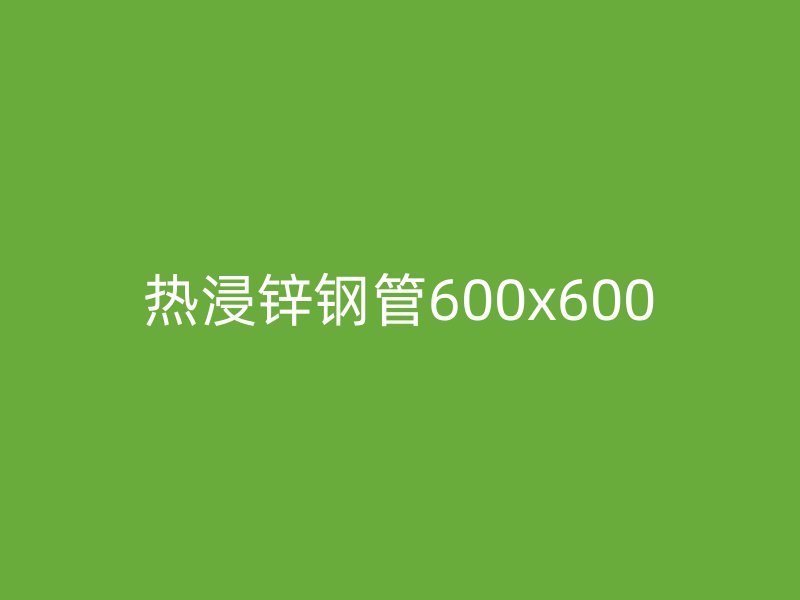 热浸锌钢管600x600