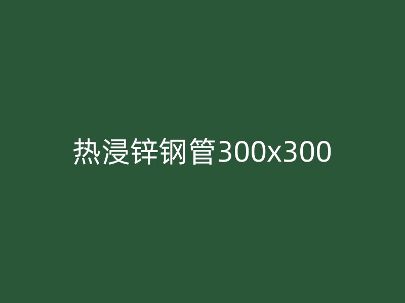 热浸锌钢管300x300