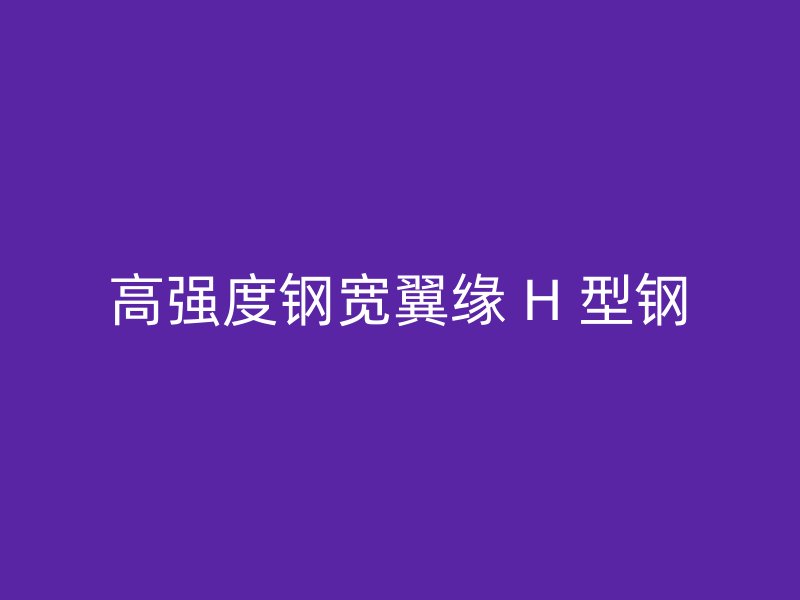 高强度钢宽翼缘 H 型钢
