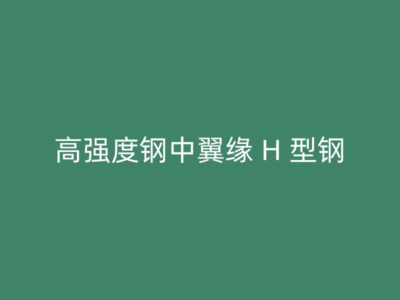 高强度钢中翼缘 H 型钢