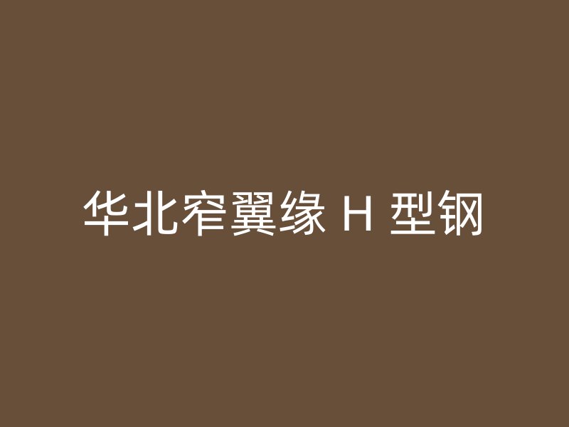 华北窄翼缘 H 型钢