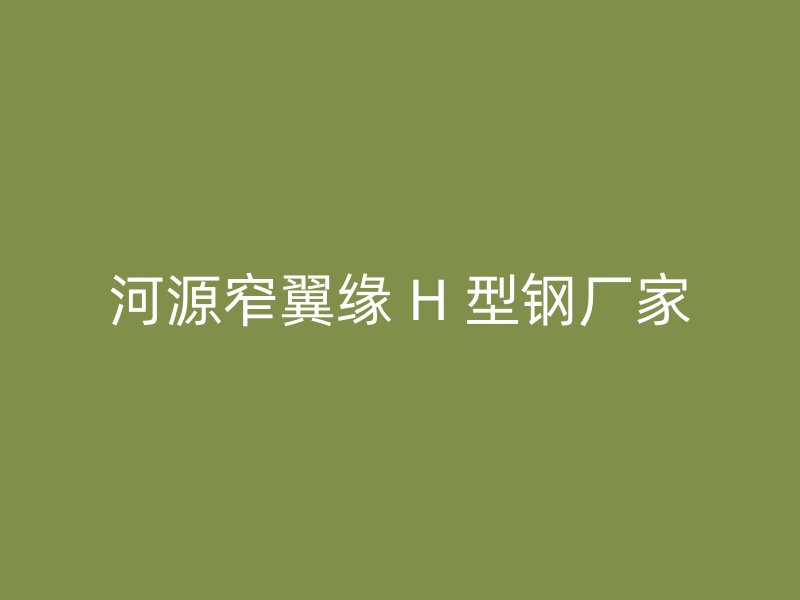 河源窄翼缘 H 型钢厂家