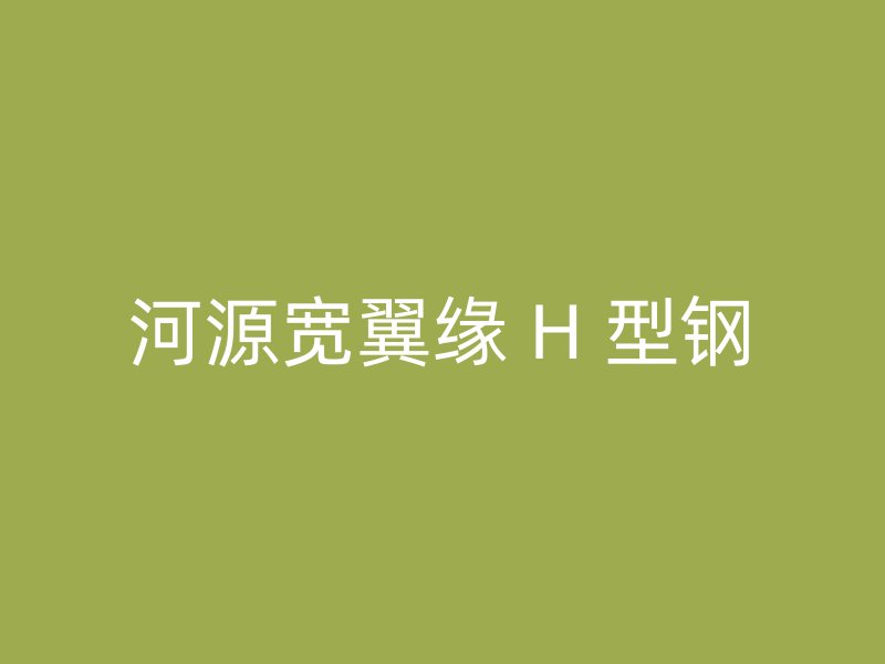河源宽翼缘 H 型钢