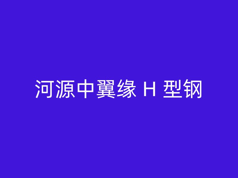 河源中翼缘 H 型钢