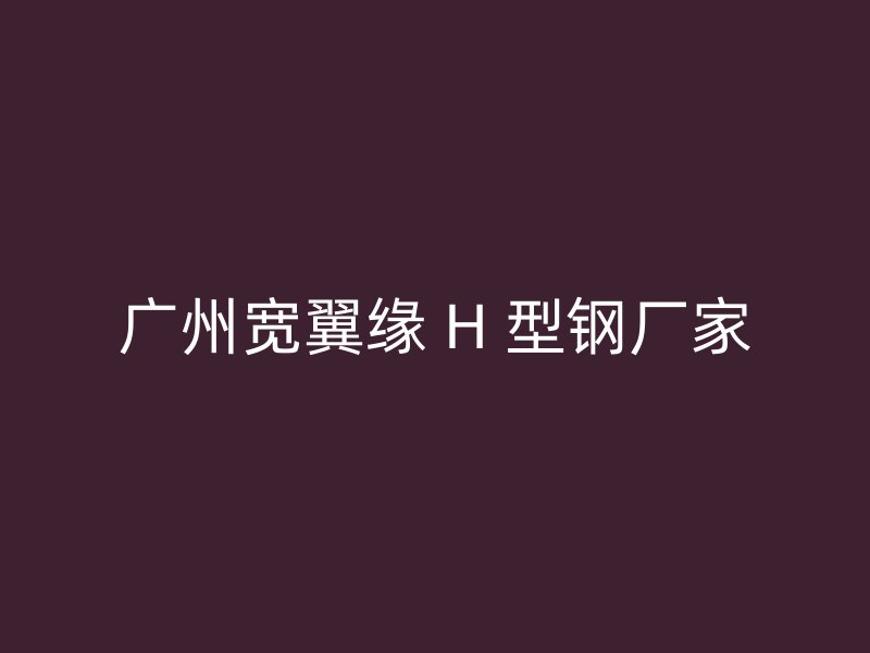 广州宽翼缘 H 型钢厂家