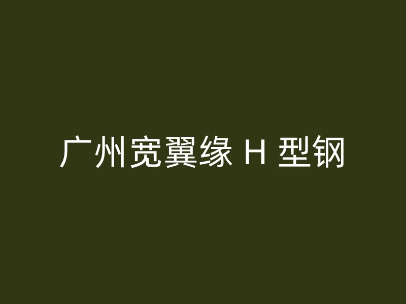 广州宽翼缘 H 型钢