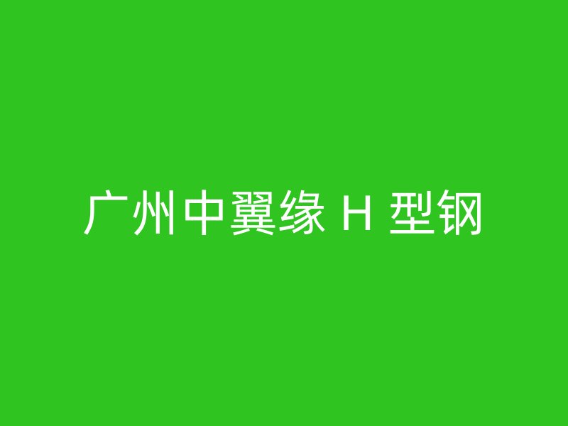 广州中翼缘 H 型钢
