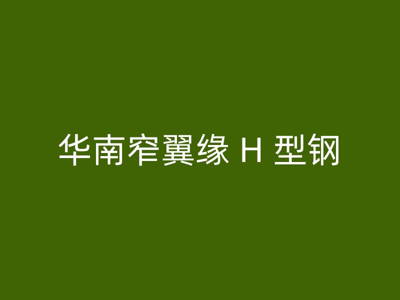 华南窄翼缘 H 型钢