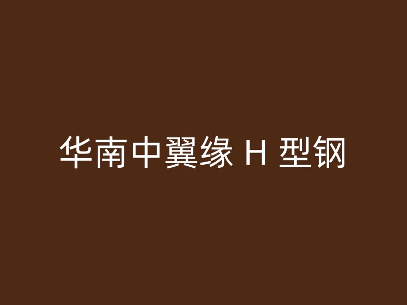华南中翼缘 H 型钢