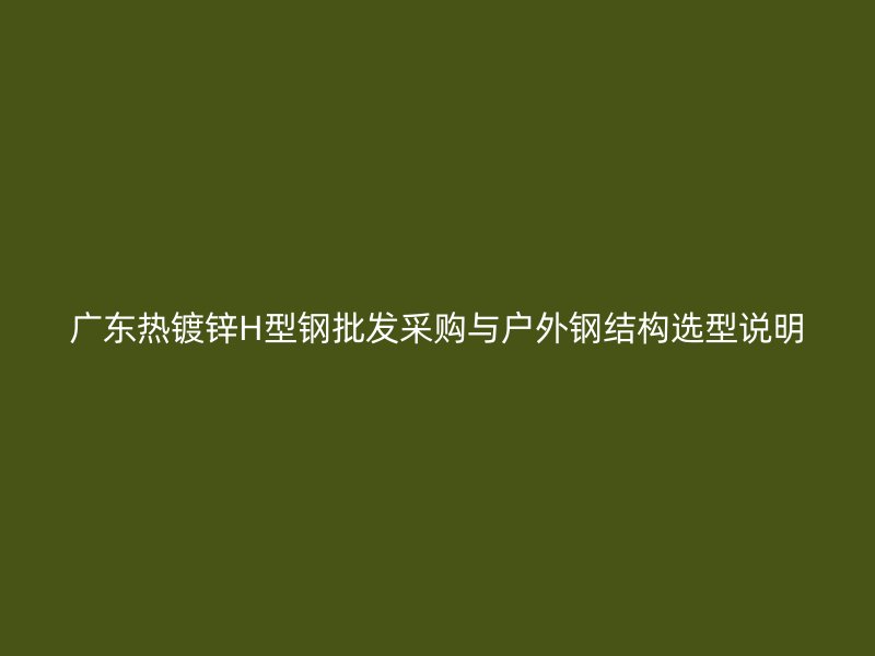 广东热镀锌H型钢批发采购与户外钢结构选型说明