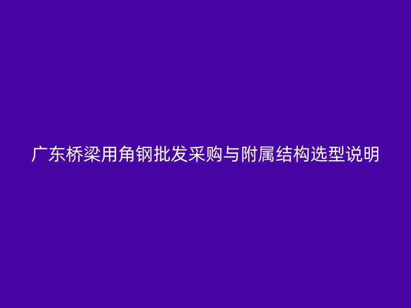 广东桥梁用角钢批发采购与附属结构选型说明
