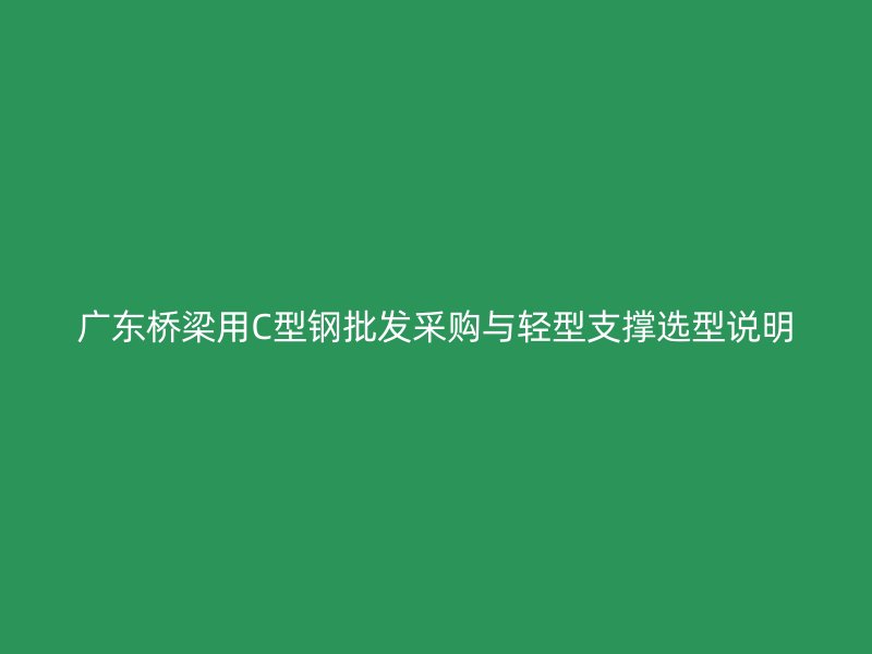 广东桥梁用C型钢批发采购与轻型支撑选型说明