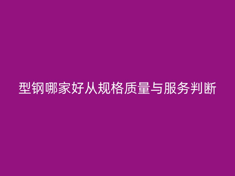 型钢哪家好从规格质量与服务判断