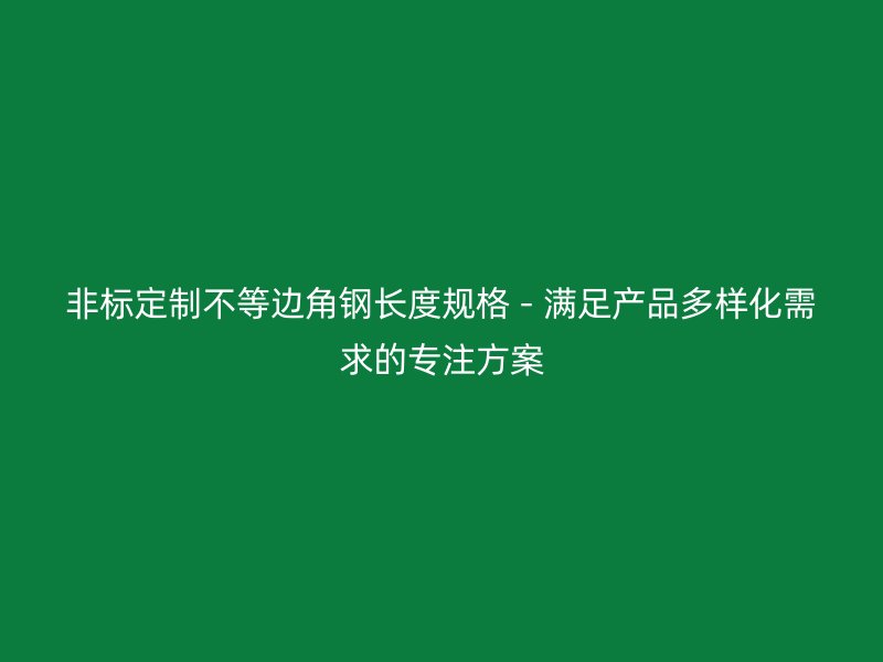 非标定制不等边角钢长度规格 - 满足产品多样化需求的专注方案