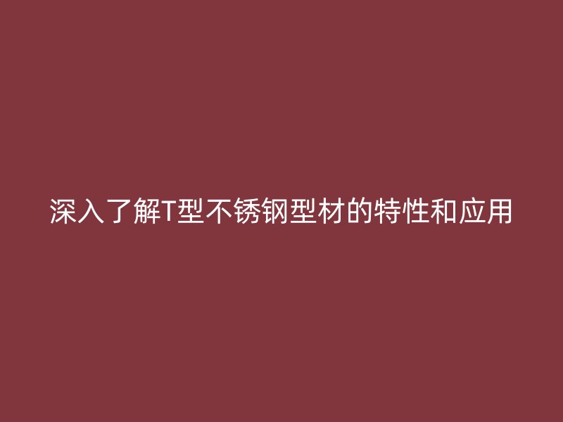 深入了解T型不锈钢型材的特性和应用