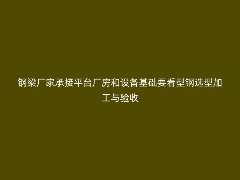 钢梁厂家承接平台厂房和设备基础要看型钢选型加工与验收