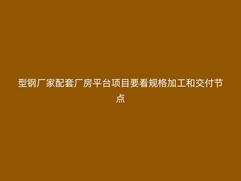 型钢厂家配套厂房平台项目要看规格加工和交付节点