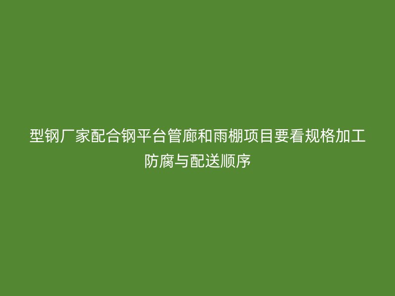 型钢厂家配合钢平台管廊和雨棚项目要看规格加工防腐与配送顺序