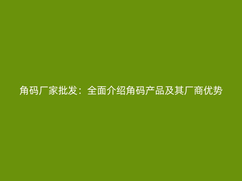 角码厂家批发：全面介绍角码产品及其厂商优势