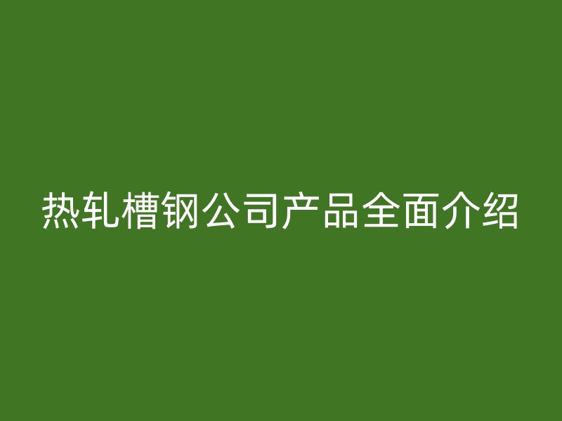 热轧槽钢公司产品全面介绍