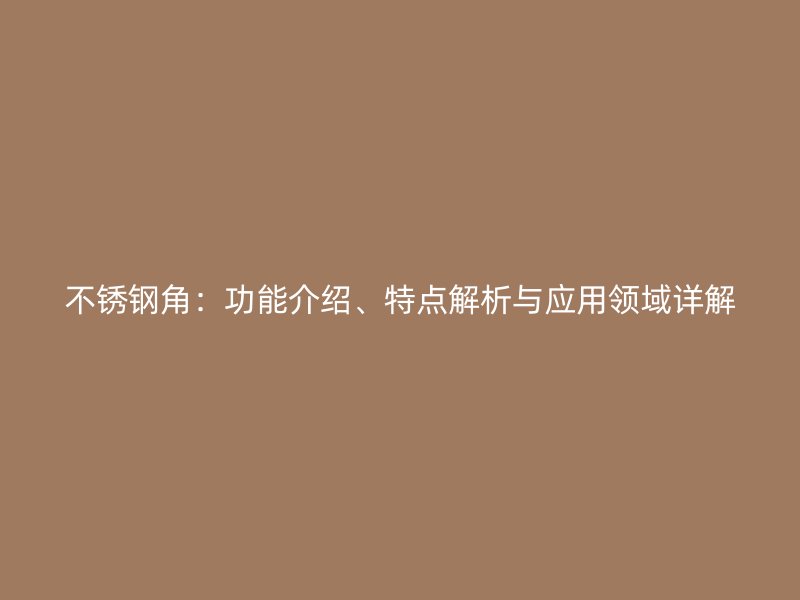 不锈钢角:功能介绍、特点解析与应用领域详解