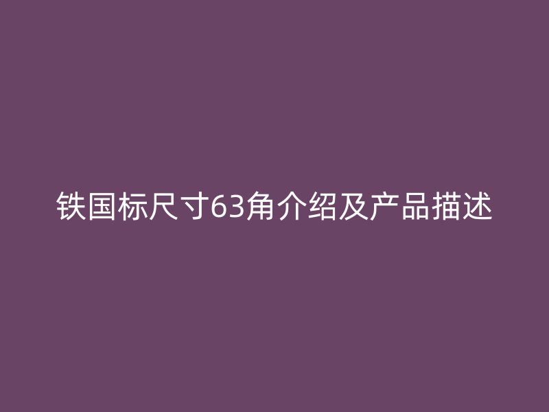 铁国标尺寸63角介绍及产品描述