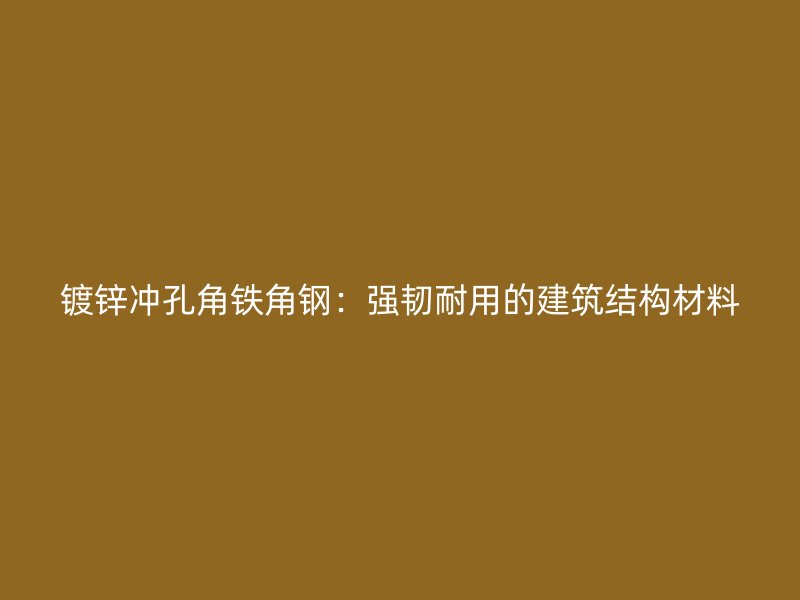 镀锌冲孔角铁角钢:强韧耐用的建筑结构材料