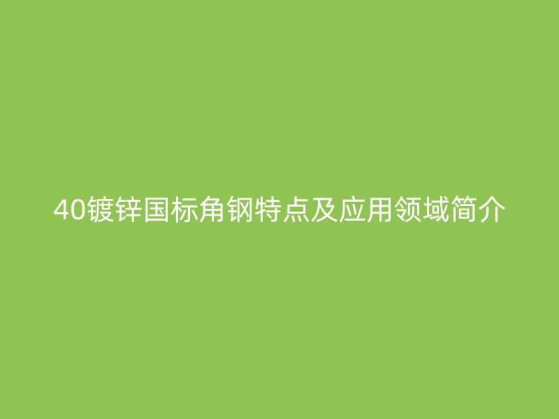 40镀锌国标角钢特点及应用领域简介
