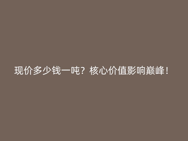 现价多少钱一吨?核心价值影响巅峰!