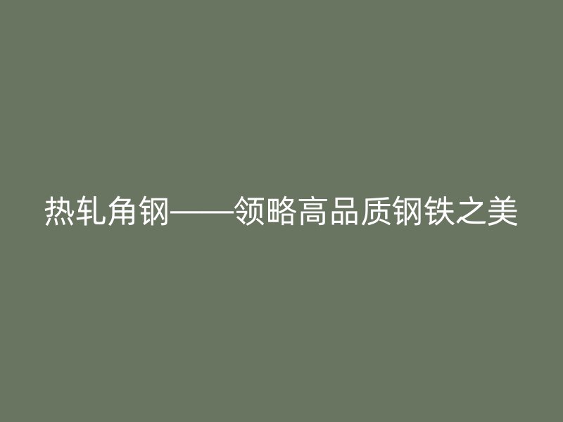 热轧角钢——领略高品质钢铁之美