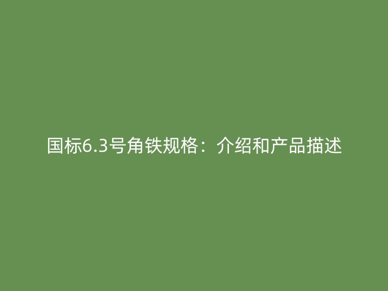 国标6.3号角铁规格:介绍和产品描述