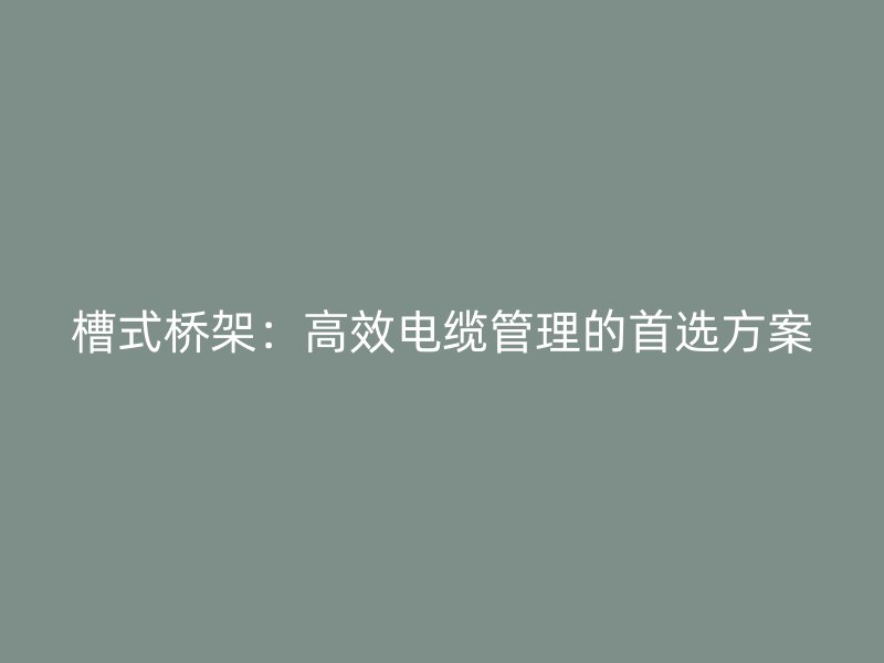 槽式桥架:高效电缆管理的首选方案