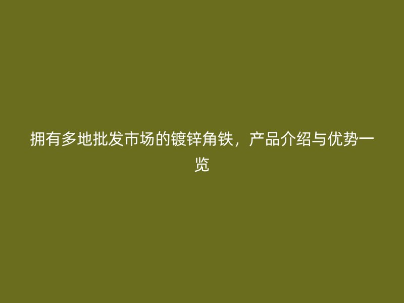 拥有多地批发市场的镀锌角铁,产品介绍与优势一览